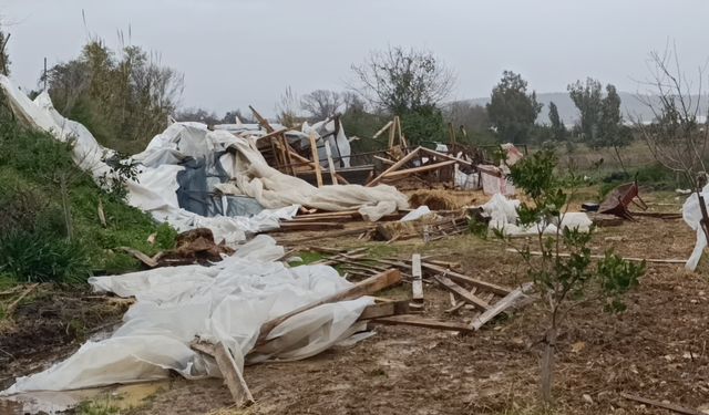 Manavgat'ta hortum 300 dönümlük alanda seraları yerle bir etti