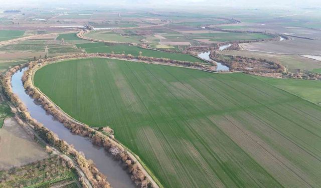 Menderes Nehri suya kavuştu