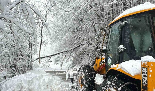 Ordu'da karla mücadele: 1 günde 457 mahalle yolu ulaşıma açıldı
