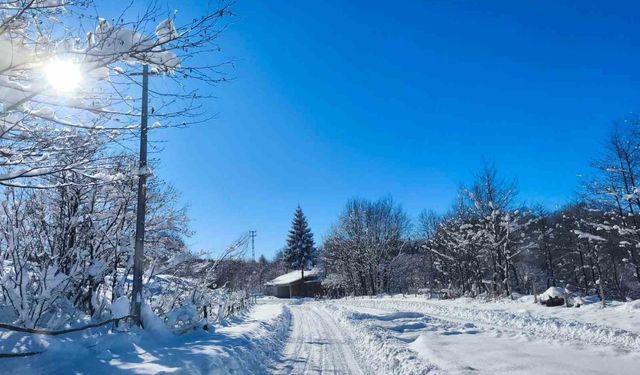 Ordu'nun yüksek kesimlerinde kar manzarası