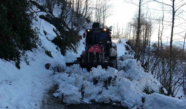 Ordu'nun yükseklerinde kar manzaraları