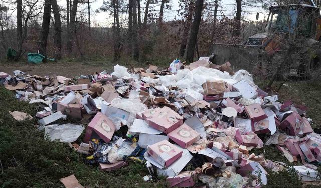 Ormanı çöplüğü çevirmişler