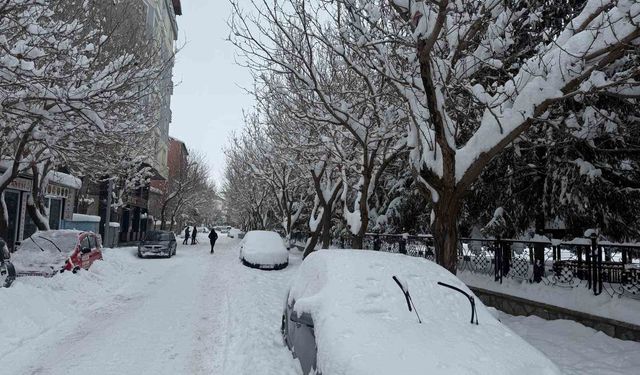 Patnos'ta kar ve dondurucu soğuk hayatı olumsuz etkiliyor