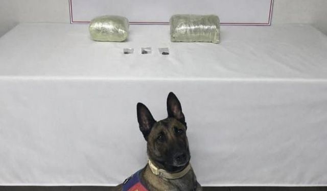 Şanlıurfa'da 2 kilo kubar esrar ele geçirildi: 1 gözaltı