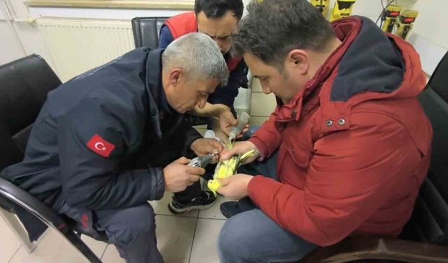Şanlıurfa'da papağanın ayağına sıkışan halhal itfaiye ekiplerinin operasyonuyla çıkarıldı