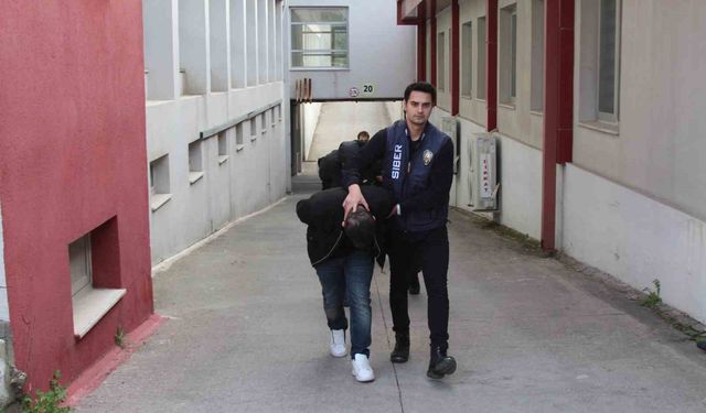 Sazan sarmalı dolandırıcılık şebekesi çökertildi: 7 tutuklu