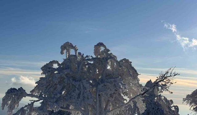 Sibirya değil Çataldağ