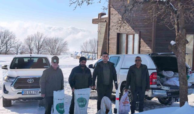 Siirt'te yaban hayvanları için doğaya yem bırakıldı