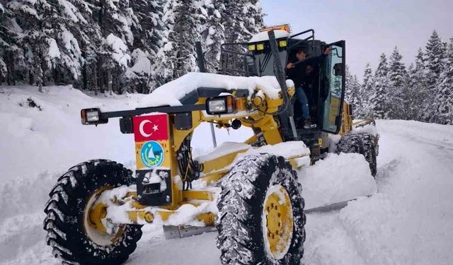Sinop'ta karla mücadele: 4 bin km yol açıldı