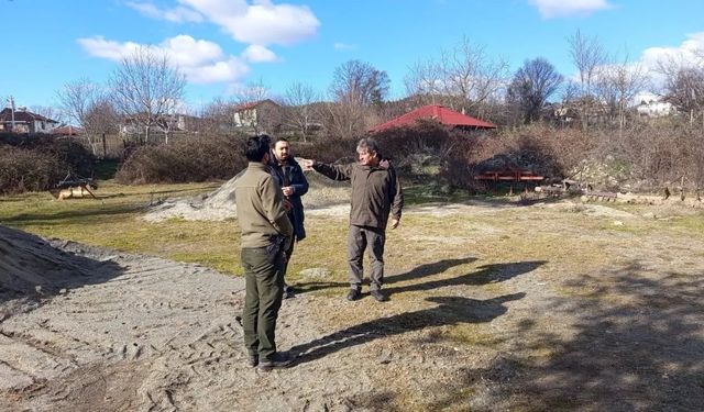 Sinop'ta leylek popülasyonu projesi sahada incelendi