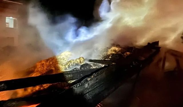 Sinop'ta samanlık yangını