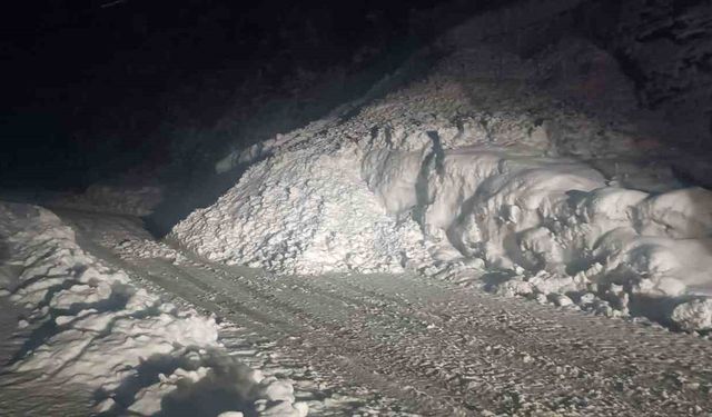 Şırnak yoluna çığ düştü, karayolu 2 saat ulaşıma kapandı