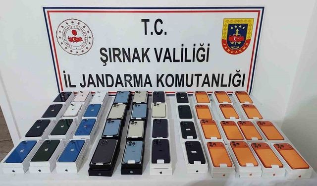 Şırnak'ta jandarma ekipleri 21 milyonluk kaçak ürün ele geçirdi