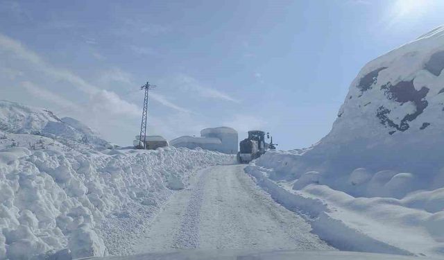 Şırnak'ta karlı yollar tek tek açılıyor