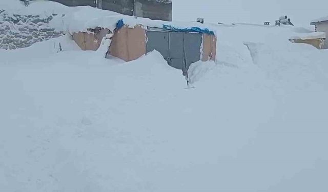 Sivas'ta 3 metre kar yağdı, hayvanlarının bulunduğu ahırın kapısını bulamadı