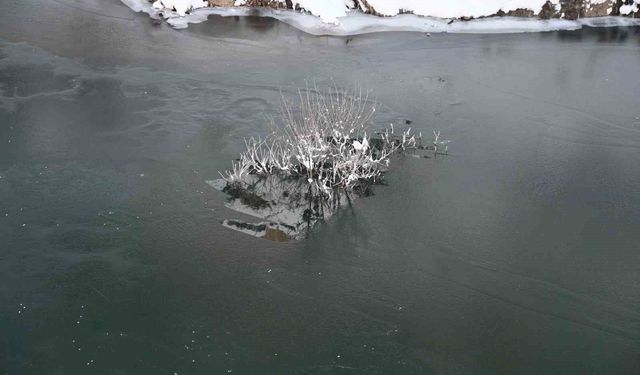 Soğuk hava Habur Çayı'nı dondurdu