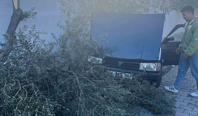 Süratli otomobil önce ağaca sonra duvara çarptı