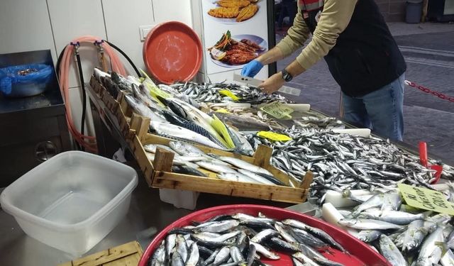 Tekirdağ'da su ürünleri denetimleri aralıksız sürüyor