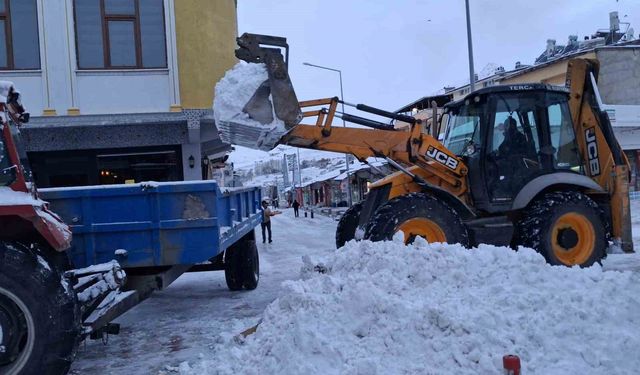 Tercan'da kar temizliği, Girlevik'te buz sarkıtları oluştu