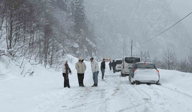 Trabzon-Bayburt karayolu Tilkibeli mevkiinde çığ