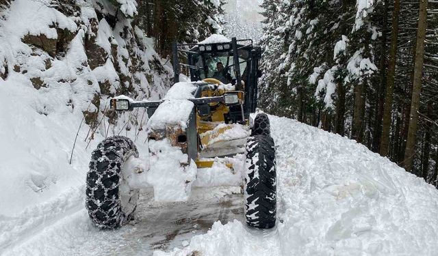 Trabzon'da 70 mahalleye kar nedeniyle ulaşım sağlanamıyor
