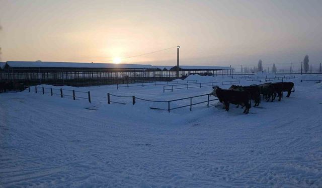 Türkiye'nin en büyük hayvan pazarı ağır kış şartları nedeniyle kapatıldı