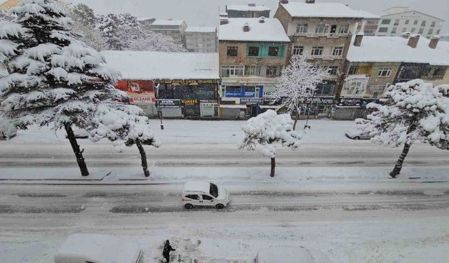 Uzmanından Bitlis için 'kar ve su hasadı' uyarısı
