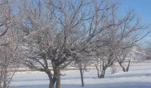 Van'da Sibirya soğukları hayatı olumsuz etkiliyor