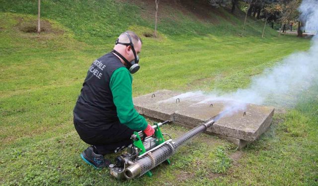 Vektörle mücadele kapsamında 24 milyon metrekare alan ilaçlandı