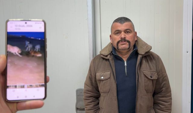 Yaban domuzunu elleriyle yakaladı