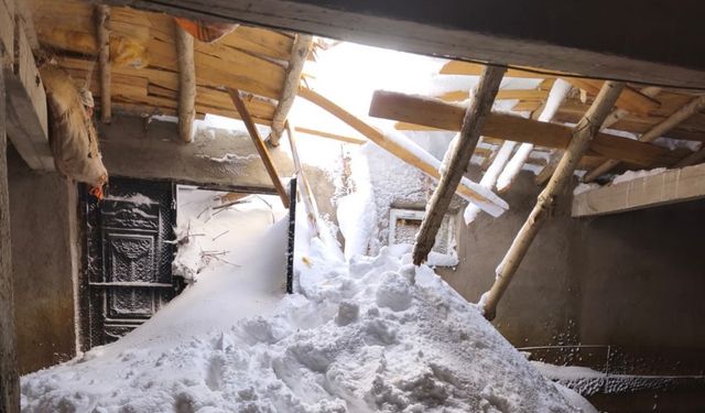 Yüksekova'da çığ yaraları sarılıyor: