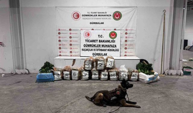 Ağrı'da Gürbulak Sınır Kapısı'nda 51 kilo 520 gram esrar ele geçirildi