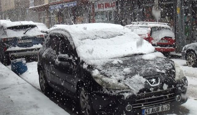 Ahlat'ta kar yağışı