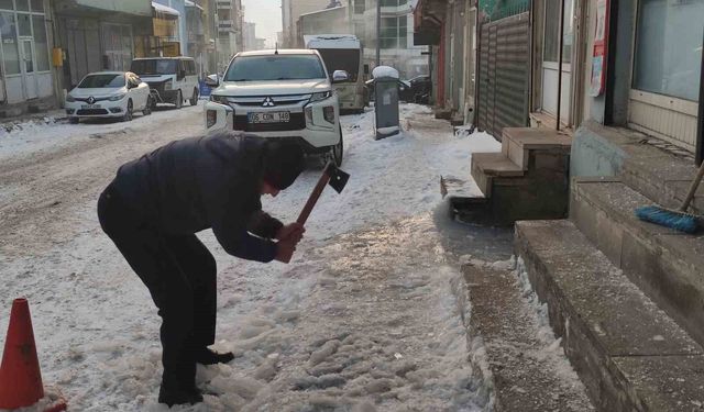 Ardahan'da dondurucu soğuk ağaçları kırağıyla kapladı
