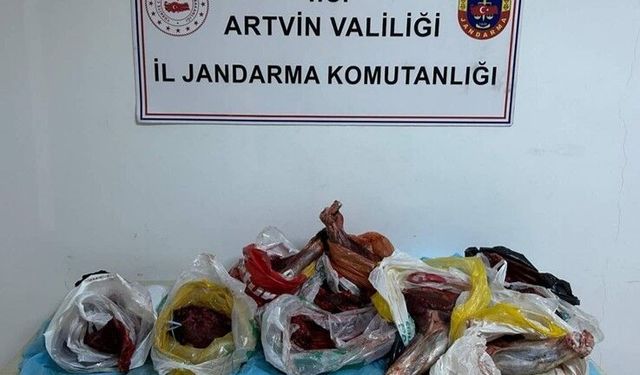 Artvin'de 60 kilo yaban domuzu eti ele geçirildi