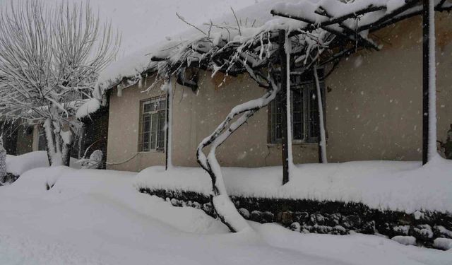 Beytüşşebap ve Uludere ilçelerinde kar yağışı etkili oldu