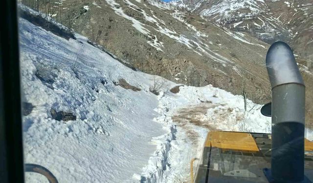 Bingöl'de kar ve heyelandan dolayı kapanan köy yolları açılıyor
