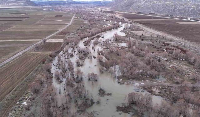 Bir dönem tamamen kuruyan nehir, yeniden coştu