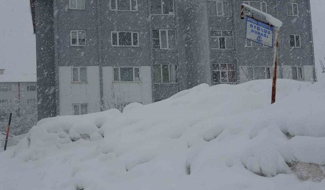Bitlis'te 304 köy yolu kar nedeniyle ulaşıma kapandı