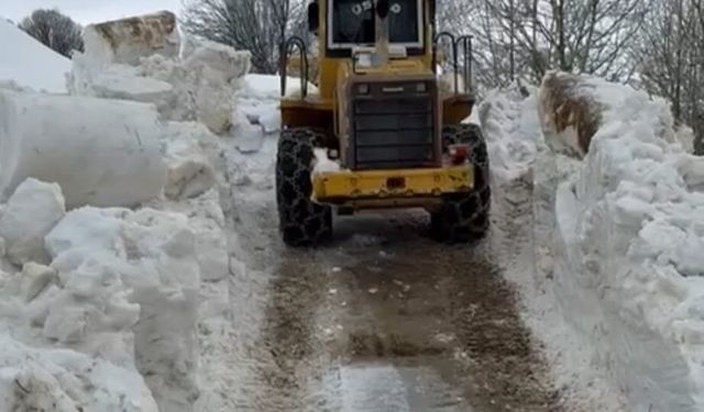Bitlis'te ulaşım için 5 metrelik kar engelini aştılar