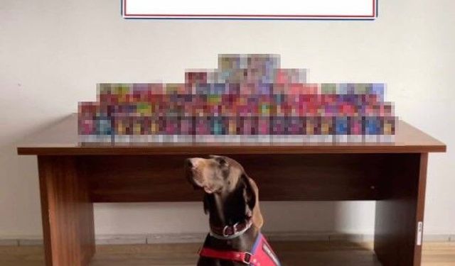 Bolu'da 150 adet elektronik sigara ele geçirildi