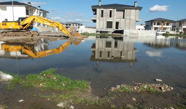 Burhaniye' de çevre felaketi yaşanıyor