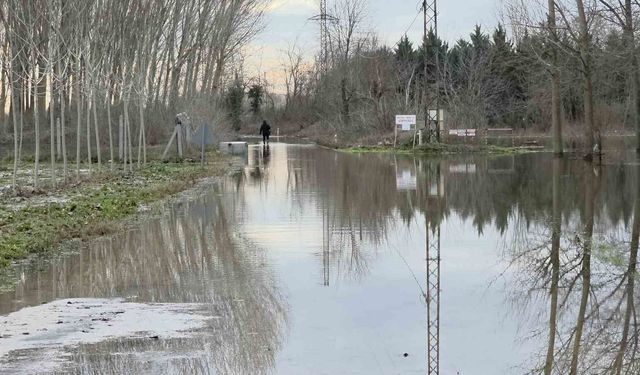 Edirne'de taşkın suları çekiliyor