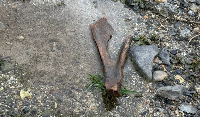 Eğirdir Gölü kıyısında bulunan kemiklerin hayvana ait olduğu değerlendiriliyor