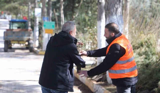 Elazığ Belediyesi'nden vatandaşlara ücretsiz fidan desteği