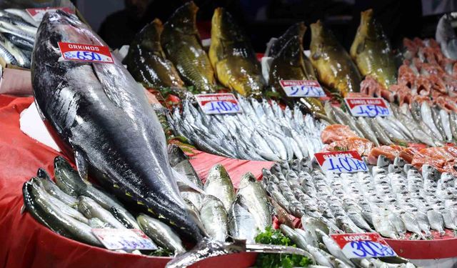 Elazığ Kapalı Çarşı'da 85 kiloluk orkinos tezgaha indi