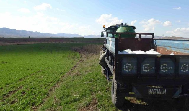 Gercüş'te çiftçilerin bahar mesaisi başladı: Tarlalar gübreyle buluşuyor