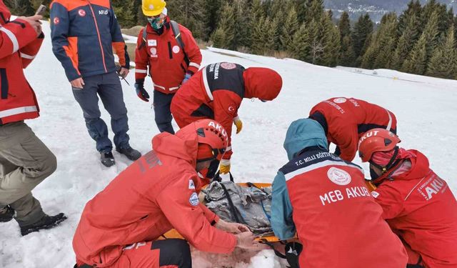Giresun'da çığ tatbikatı gerçeğini aratmadı