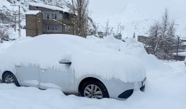 Hakkari'de 210 yerleşim yerinin yolu kapandı
