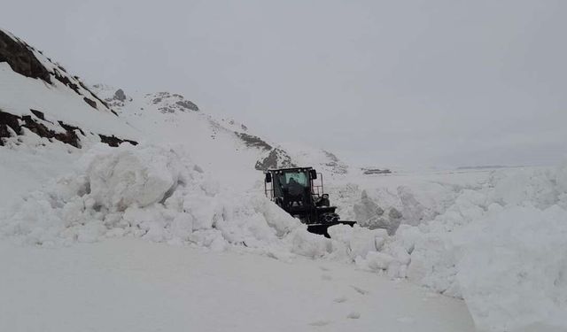 Hakkari'de 79 yerleşim yerinin yolu ulaşıma kapandı